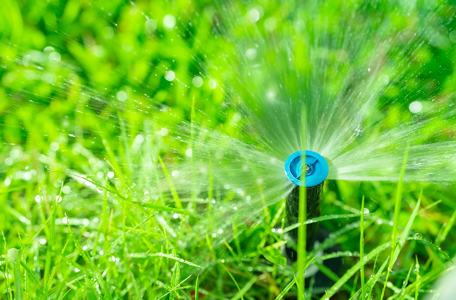 3 Signs You're Overwatering Your Lawn