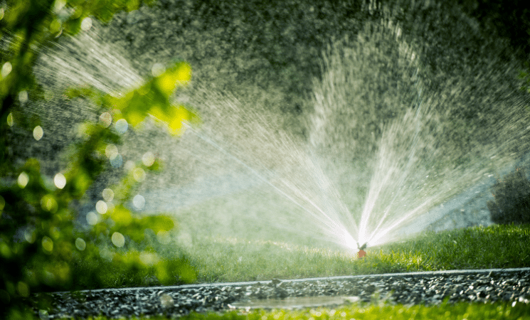 Sustainable Irrigation: Water-Conserving Solutions