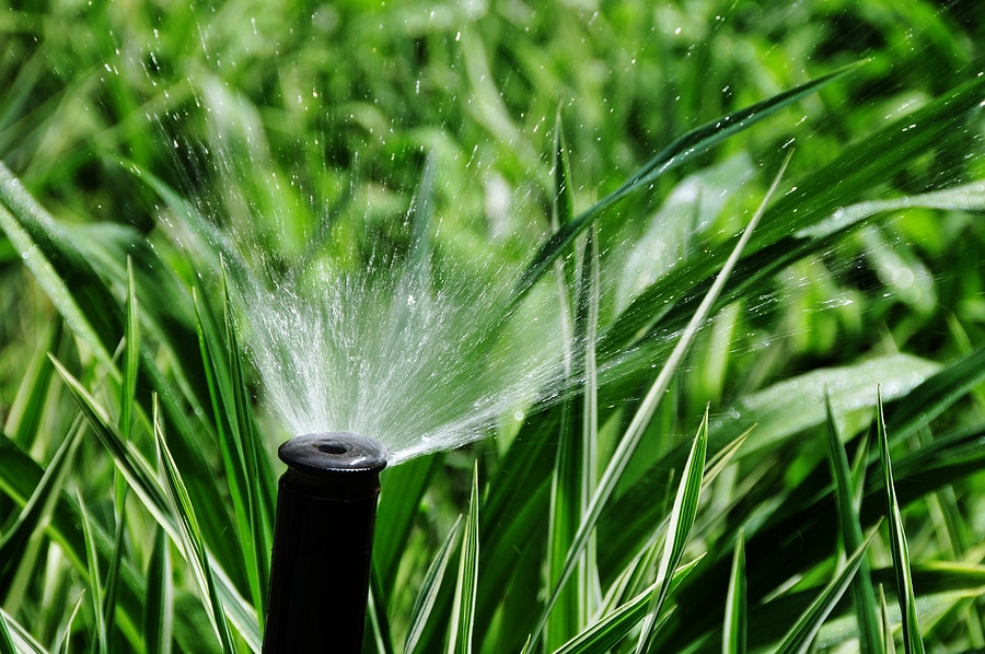 5 Signs It's Time to Replace Sprinkler Heads