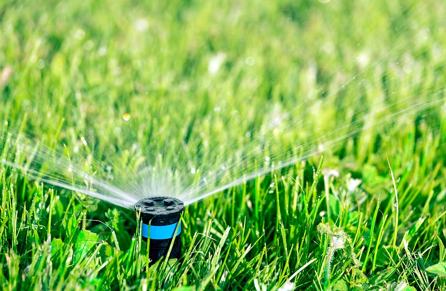 Best Practices for Your Irrigation System This Season