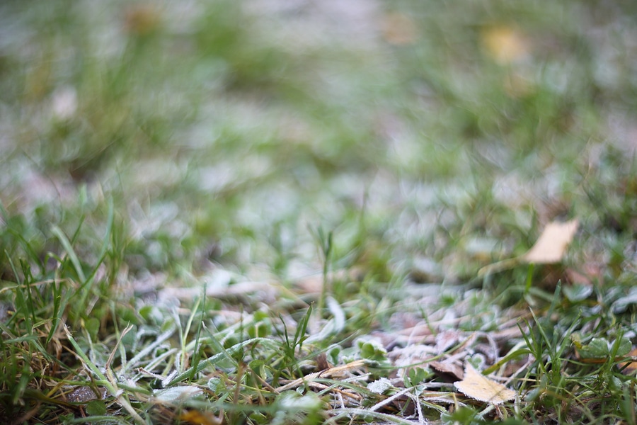 How Early Frost Can Damage Your Sprinkler System