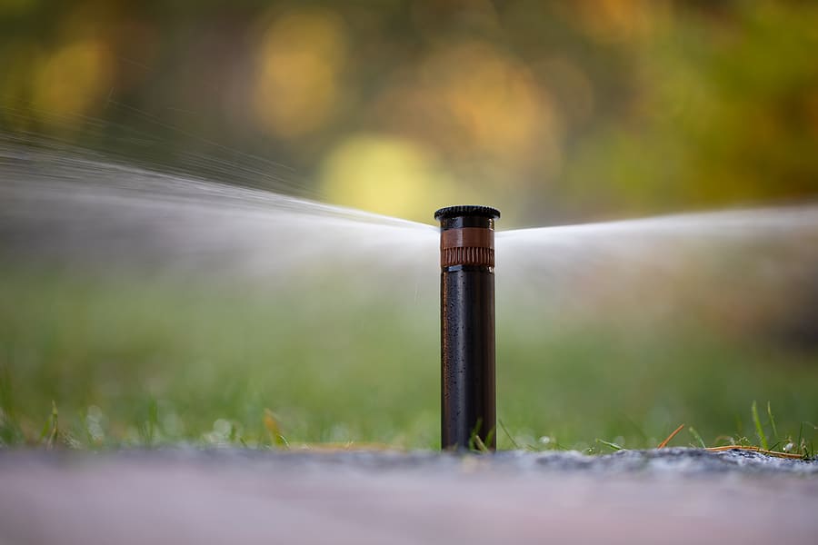 Protect Your Sprinkler System from Lawn Pests