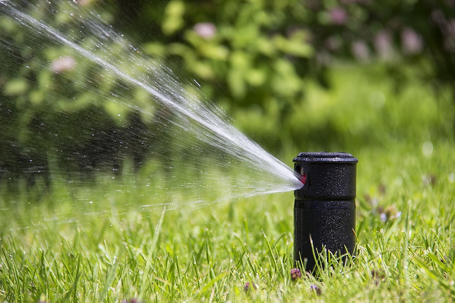 Spring Startup: The Sprinkler Service You Can't Skip