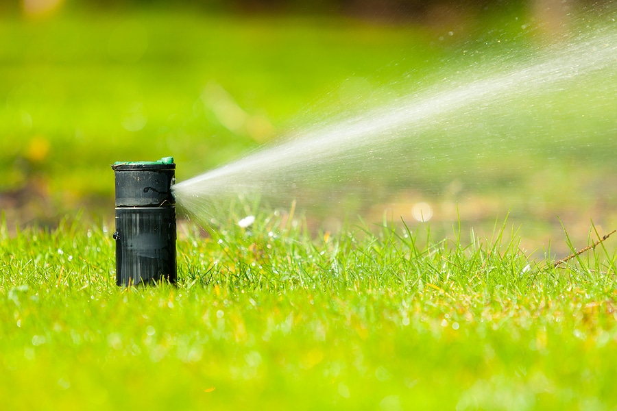The Spring Lawn Mistake Most Homeowners Make