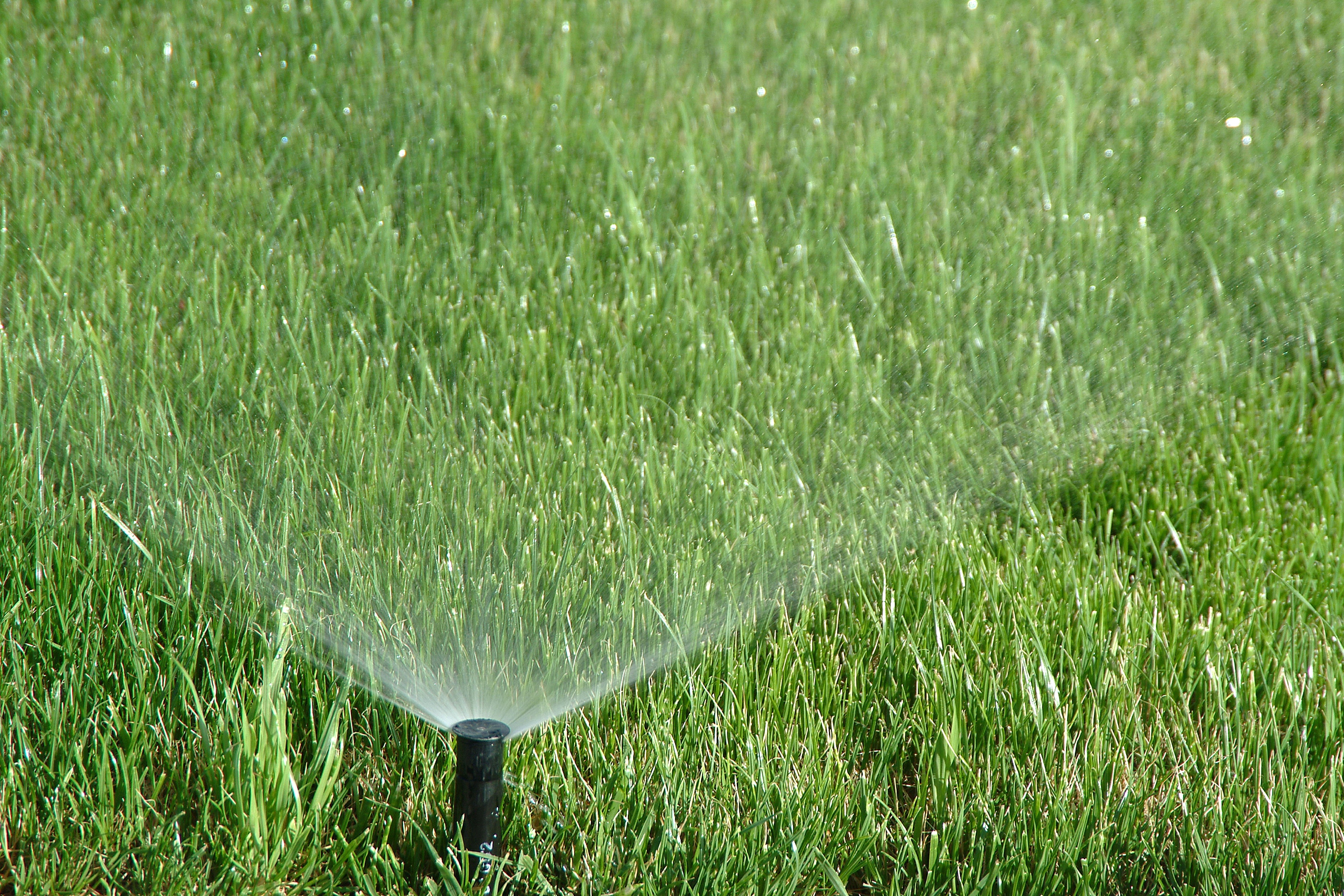 Troubleshooting Common Irrigation Issues
