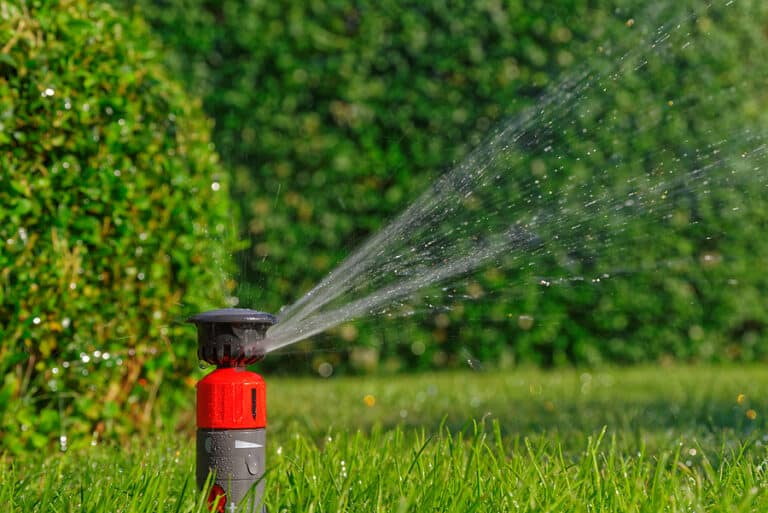 What Should You Do if You Mow Over a Sprinkler Head? Michigan