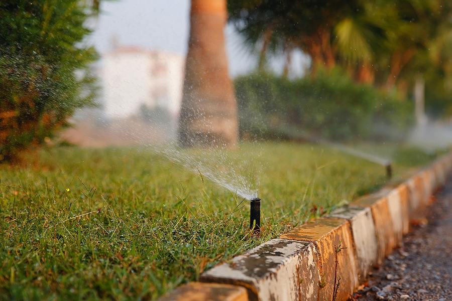 Why an Irrigation System Is Worth It