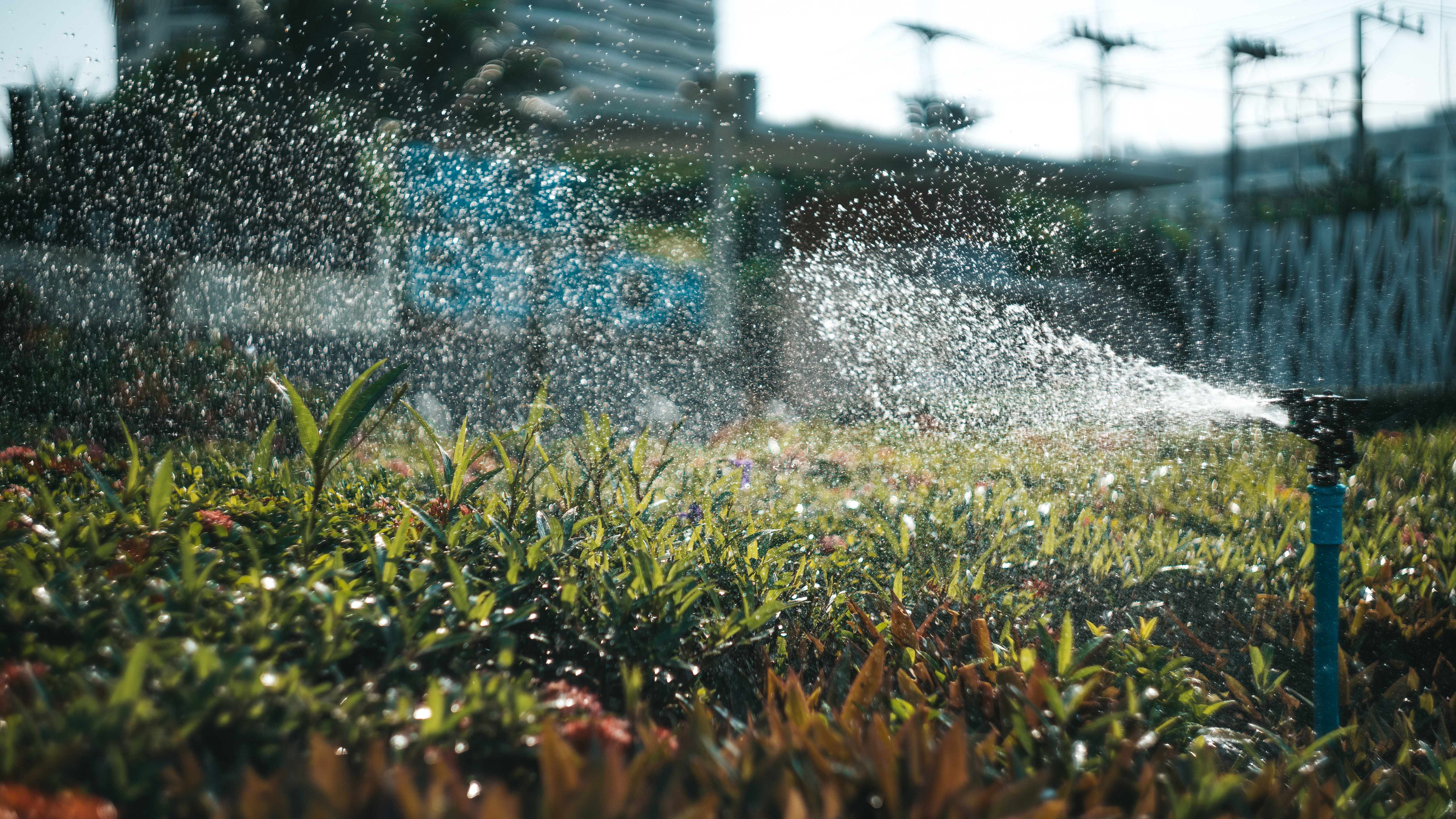 Why aren't My Lawn Sprinklers Working?