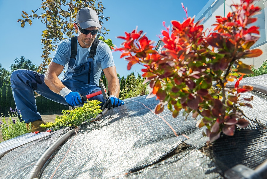 Is a Drip Sprinkler System Right for Your Flowerbeds? 