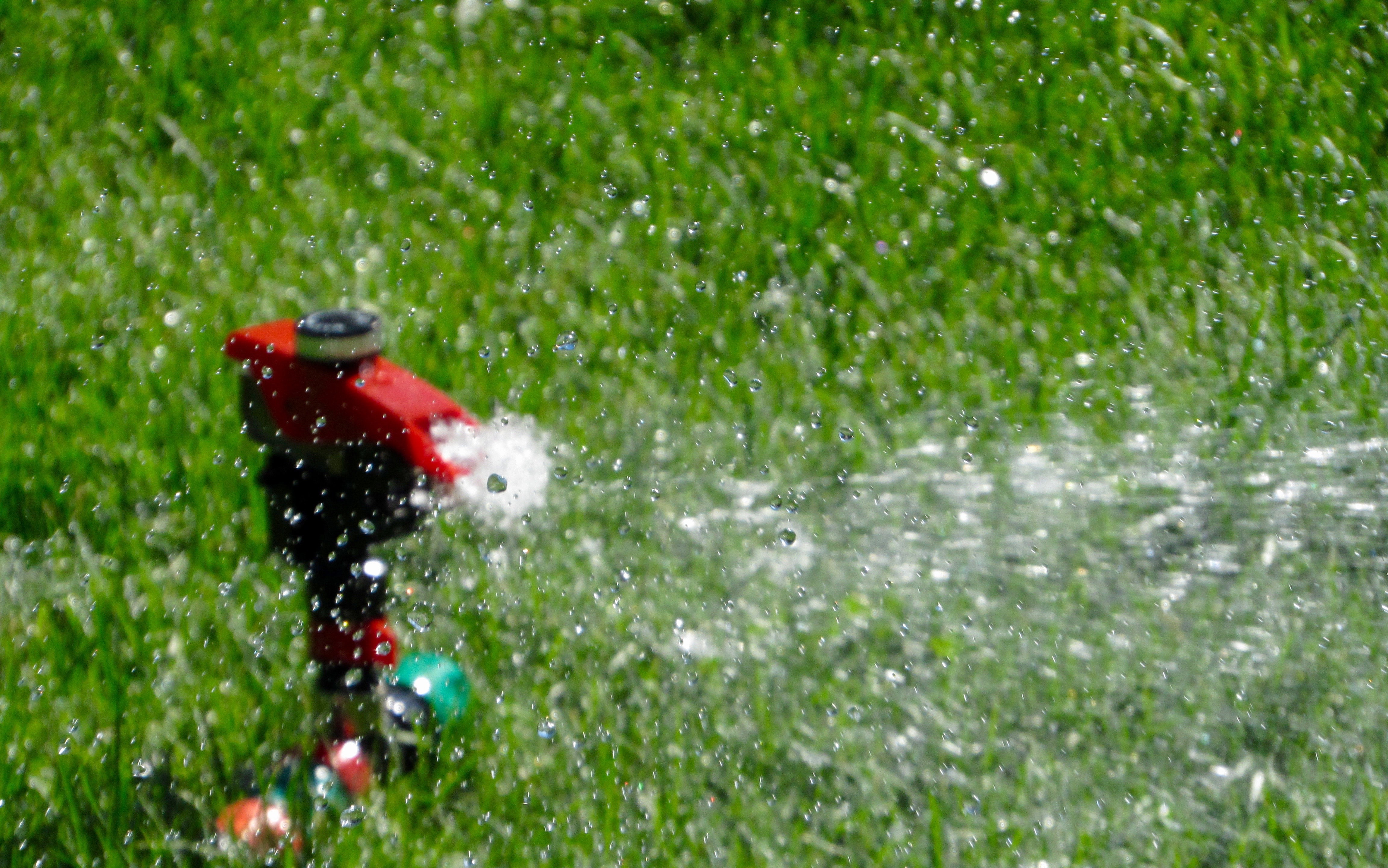 Why You Should Install a Sprinkler System
