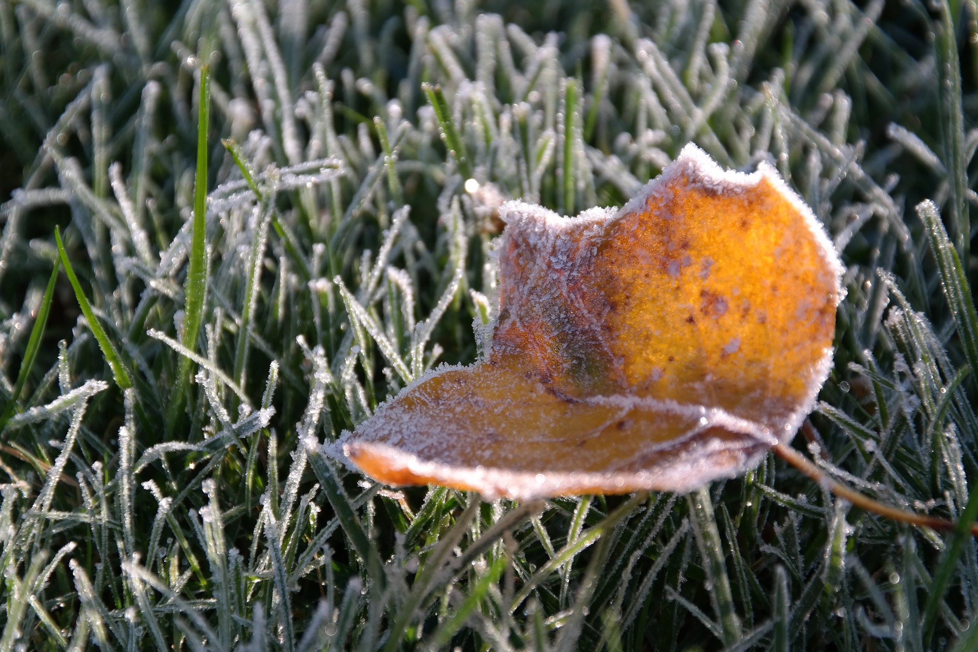 3 Reasons to Winterize Your Irrigation System